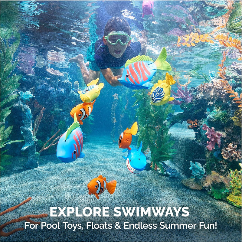 SwimWays Disney’s Finding Dory Mr. Ray’s Dive and Catch Game for Ages 5+ | Weighted Waterproof Figurines Sink and Encourage Active Summer Play; Builds Swimming Confidence With Diving Games and Races